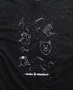 "Made of Stardust" Womens V Tee